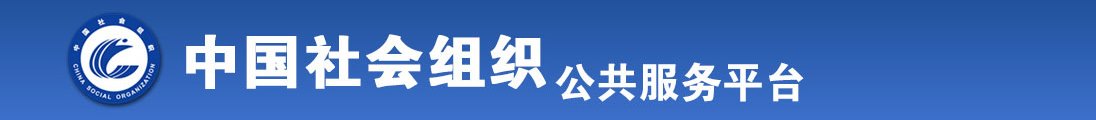 freespachina全国社会组织信息查询